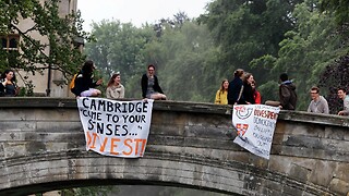 The divestment working group scandal calls into question the very democracy of the University itself
