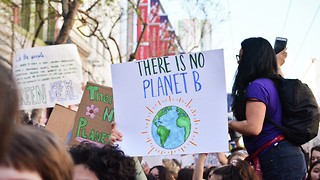 Climate criminals have no place in higher education  