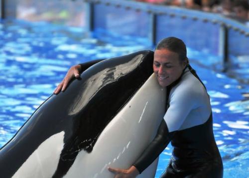 Beneath the surface: A fresh perspective on marine captivity - Varsity Online