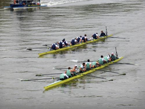 oxbridge rowing