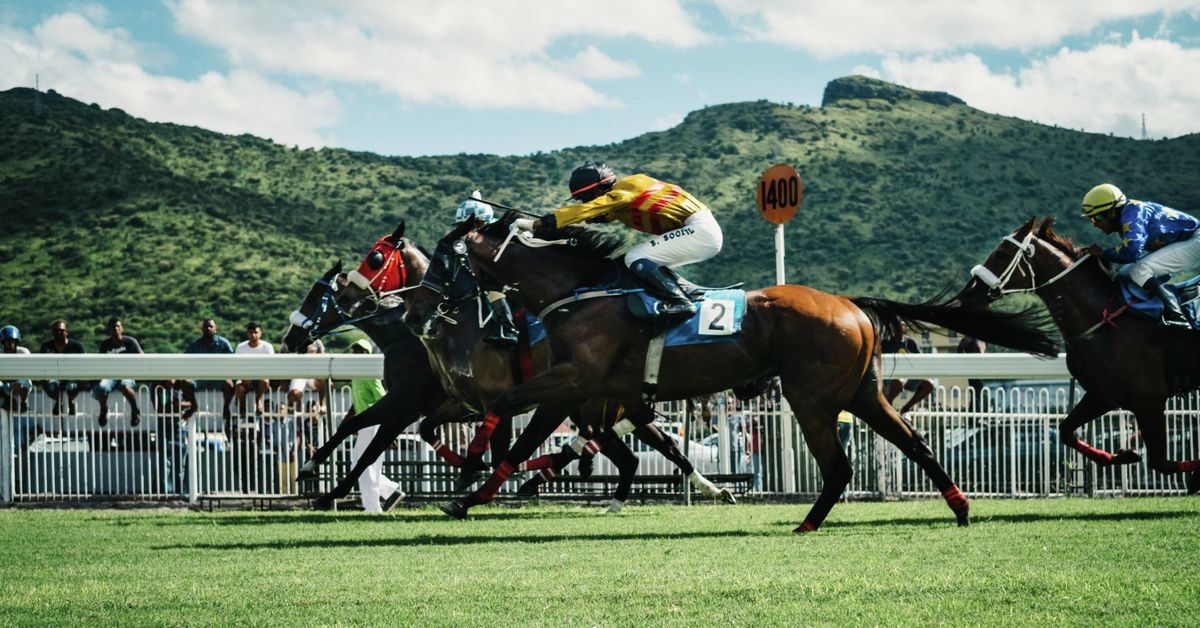 How Do Bookies Make Money The Bookmakers Business Model Sponsored Content From Hannah Madison Varsity