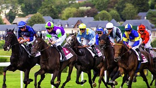 Horse Racing Betting Statistics and Trends in the UK