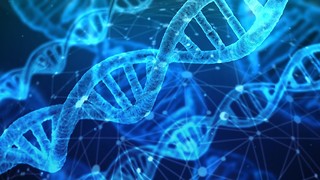 Finding A Cousin Thousands Of Miles Away: The Miracle Of DNA