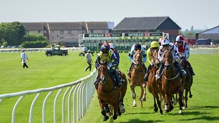 What Does PU Mean in Horse Racing? What Every Bettor Should Know