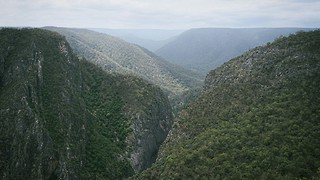 The Best Southern Highlands Accommodation: Where Comfort Meets Country Charm