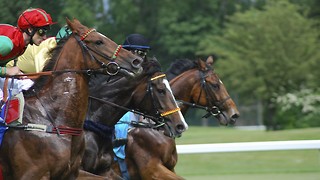 How Luck Plays Its Part in the Grand National