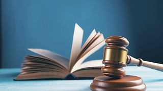 The Career of an Immigration Advisor in 2026: What Can Law Graduates Expect?