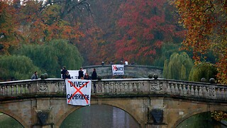 The university must address climate change