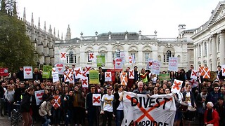 Academics and activists join calls for divestment 
