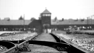Cambridge commemorates the Holocaust