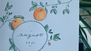 The unexpected tranquility of bullet journalling