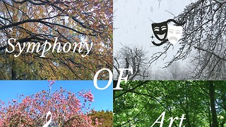 The Symphony of Art Magazine interview: shifting with the seasons