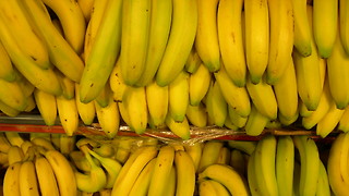 Saving bananas from extinction