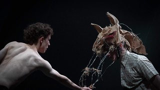 Equus review: Flashes of brilliance