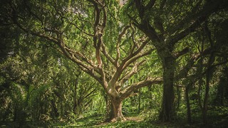 Loving nature may be part of your DNA