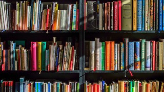 World Book Day and the world of books