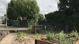 Uniting the Cambridge community through gardening