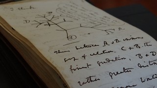Missing Darwin notebooks returned to University Library