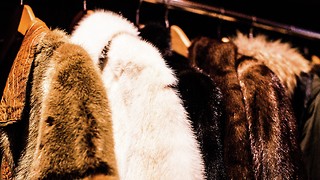 Banning fur in fashion does not deserve our praise