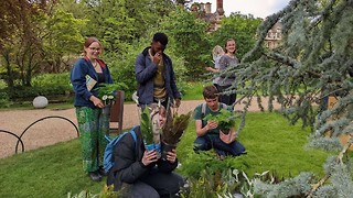 Plant sales, green formals and clothing swaps: meet the students behind Green Week