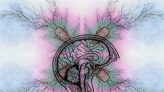 Life governed by epilepsy