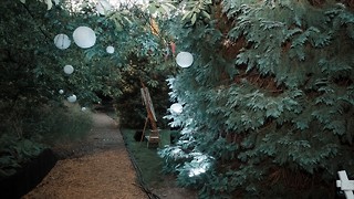 Are June Events worth it?