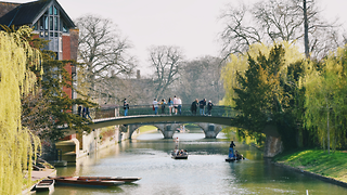 River Cam beauty spot full of sewage, research suggests
