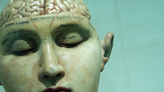 Dangerous curiosity: how ethical is research into the brain?