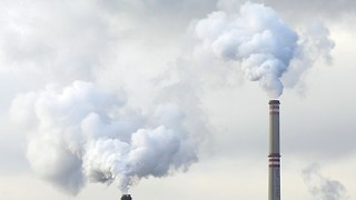 Get Big Oil out of climate action