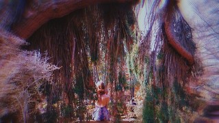 Ugly feelings and unabated longing in 'Electra : Haimara'