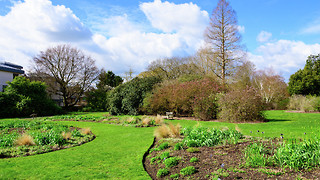 Sounds Green: a month of live music at the Botanic Gardens 