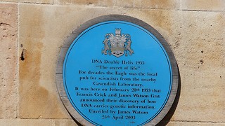 Replacement plaque celebrates Rosalind Franklin’s DNA role