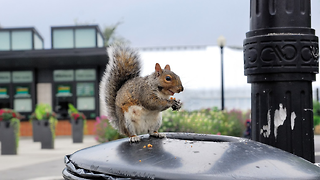 The wonders of nature in Cambridge