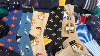 An ode to the silly sock