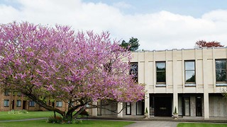 Wolfson abandons exam quiet period, accused of 'prioritising profits' 