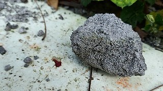 Research Roundup: rock on?