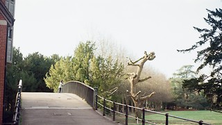 Underage students at Cambridge