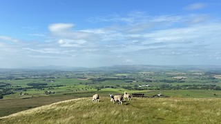 A summer stranded in rural England