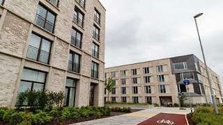 A plague on your new-build houses