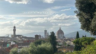 The Italy bug 
