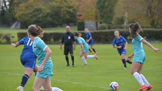 The must-see fixtures of the upcoming term