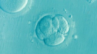 Research Roundup: Week Three