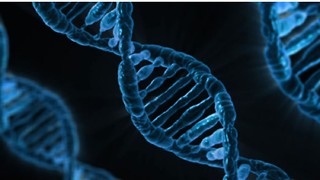 Could gene therapy rewrite the future of Huntington's?