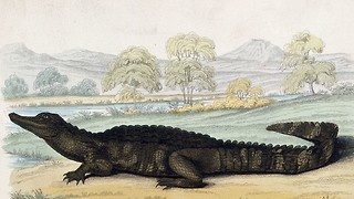 Research Roundup: Week Nine