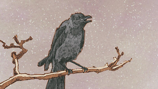 The first Frost of winter