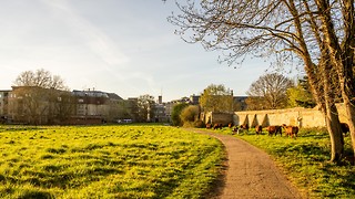 Uni Scout and Guide Club affirms trans inclusion 