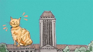 An ode to Cambridge pets