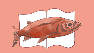 The Cambridge zine scene