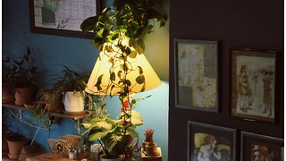 New year, new room, new you