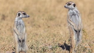 Research Roundup: Week One